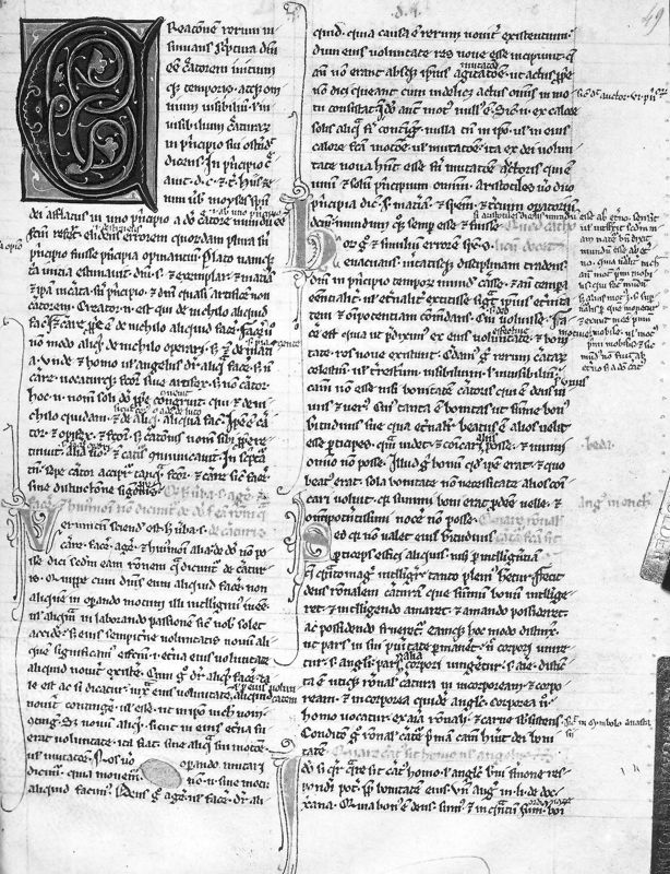 Petrus Lombardus, Sententiae