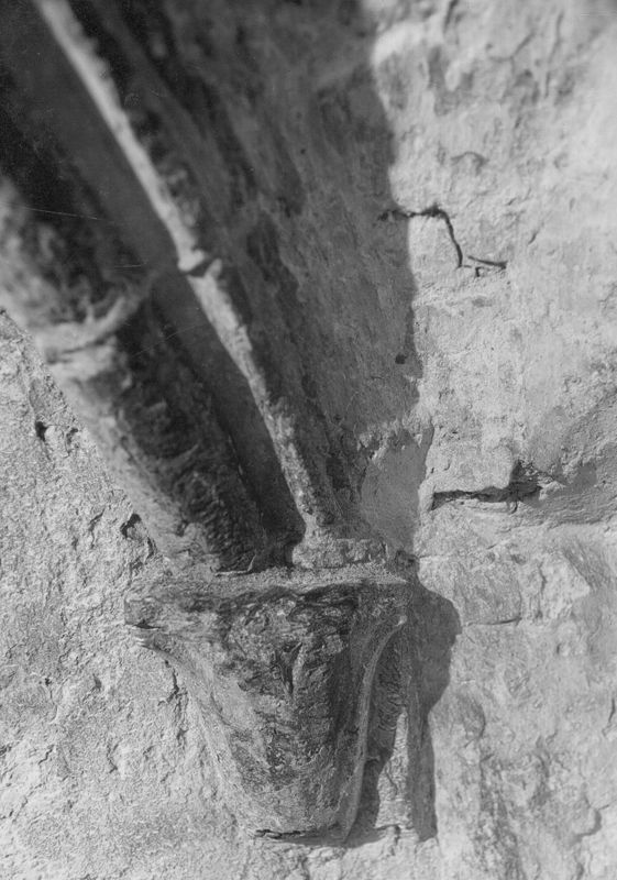 cave / Bouwwerk[Oudenaarde]