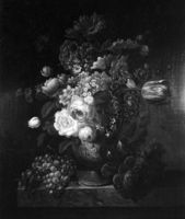 B058198