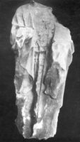 B061632