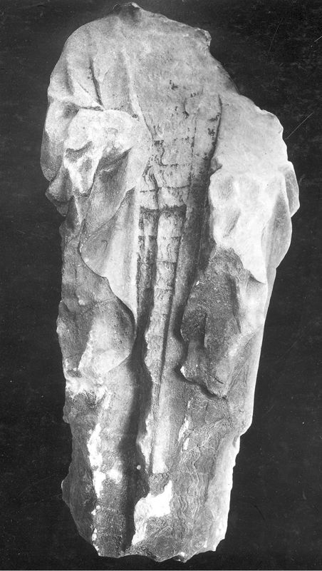 H. Johannes de Doper[?][zonder hoofd]