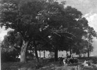 B075605