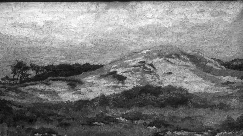 Duinen