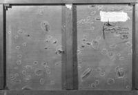 B082939