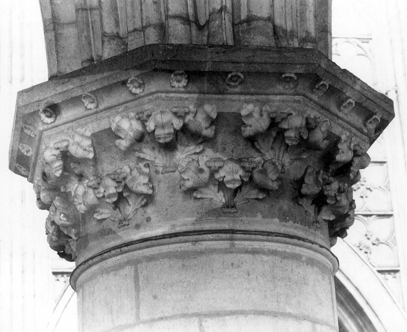 chapiteau à feuillage / Sint-Romboutskathedraal[Mechelen]