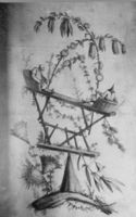 B083846