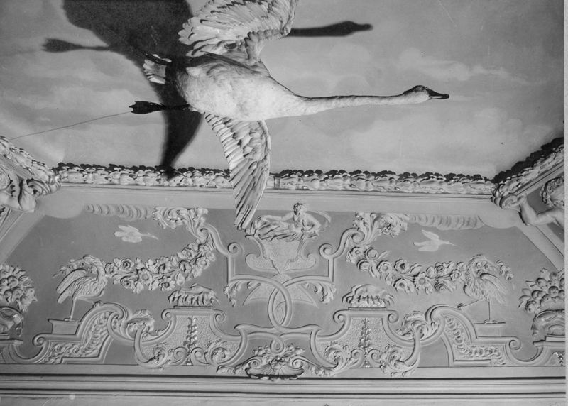 plafond[élément d'architecture] / Hôtel de Sélys-Longchamps