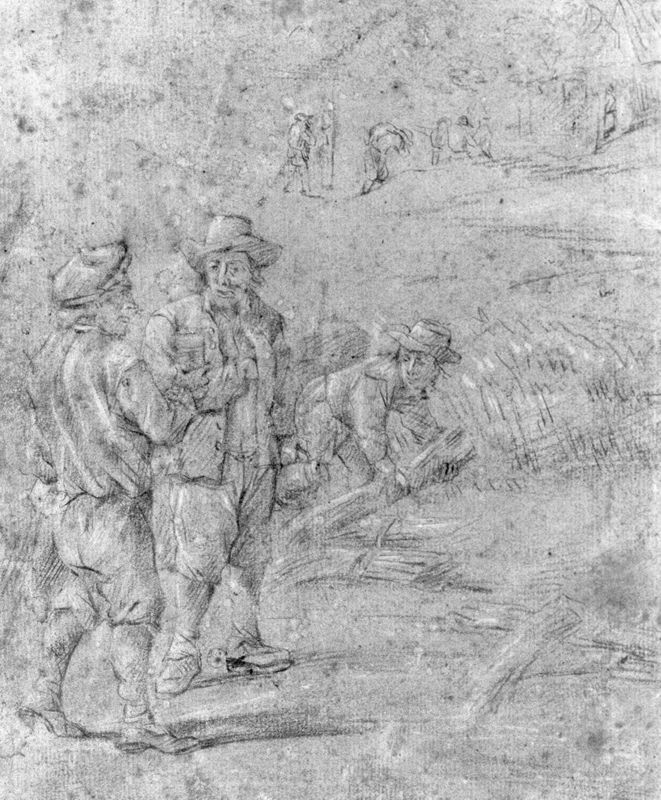 Boeren