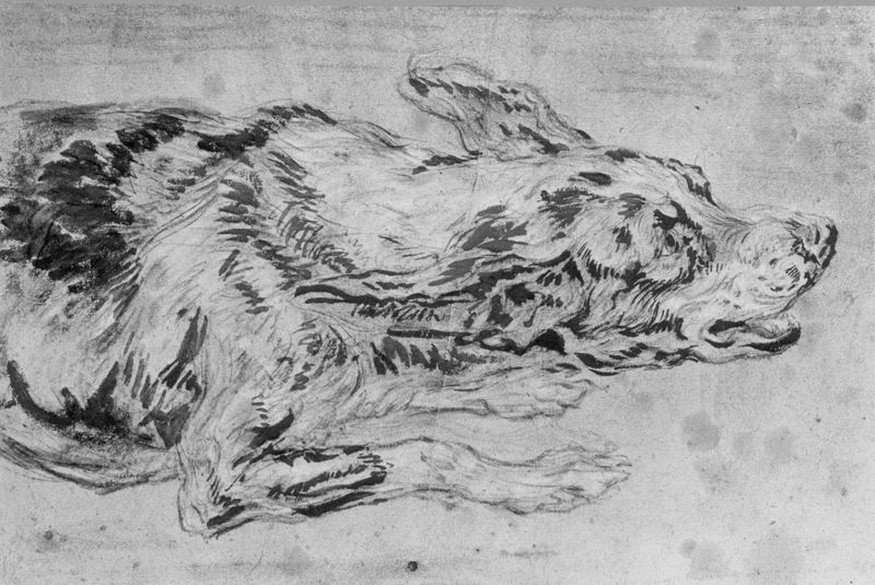 Liggende hond