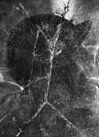 B086352