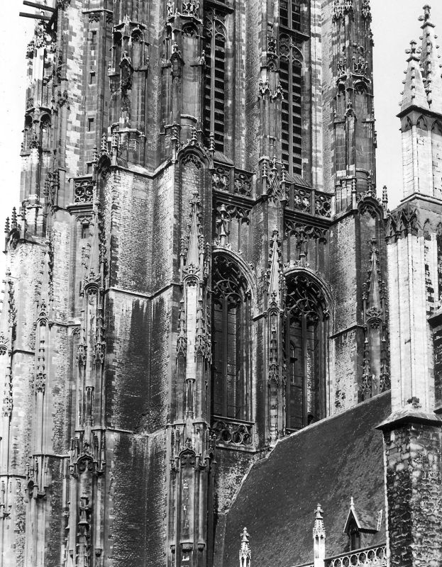 cathédrale / Sint-Romboutskathedraal[Mechelen]