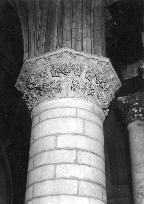 chapiteau à feuillage / Sint-Romboutskathedraal[Mechelen]