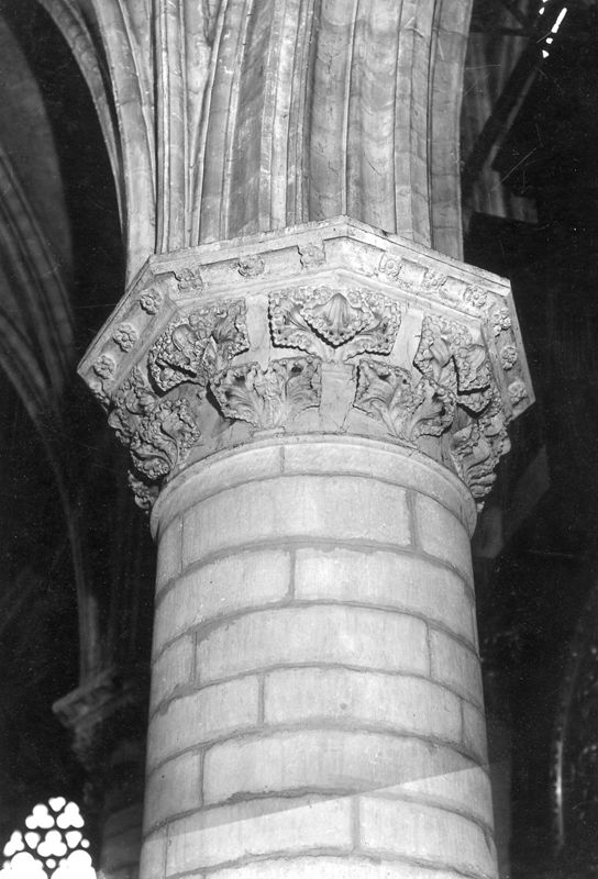 chapiteau à feuillage / Sint-Romboutskathedraal[Mechelen]