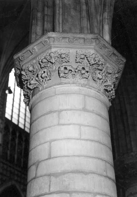 chapiteau à feuillage / Sint-Romboutskathedraal[Mechelen]