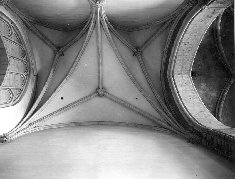 voûte à réseau de nervures / Sint-Romboutskathedraal[Mechelen]