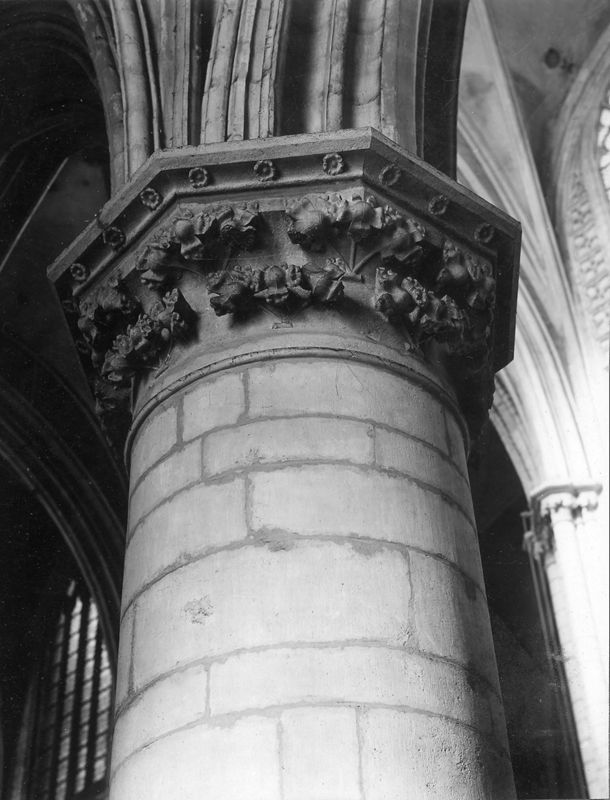 chapiteau à feuillage / Sint-Romboutskathedraal[Mechelen]