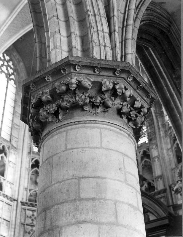 chapiteau à feuillage / Sint-Romboutskathedraal[Mechelen]