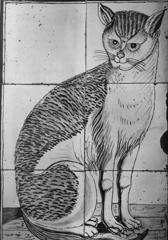 Chat