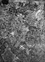 B092895