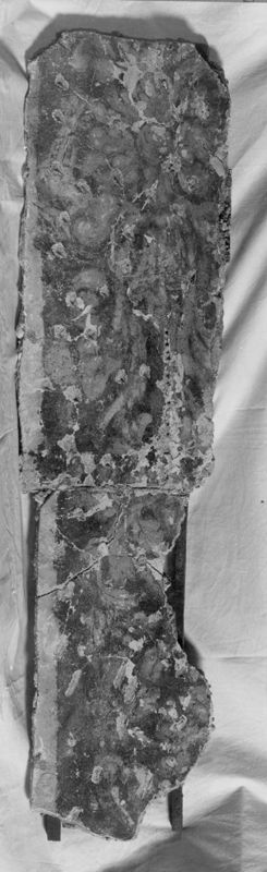 objet[fragment] / Hôtel de Sélys-Longchamps