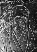 B093550
