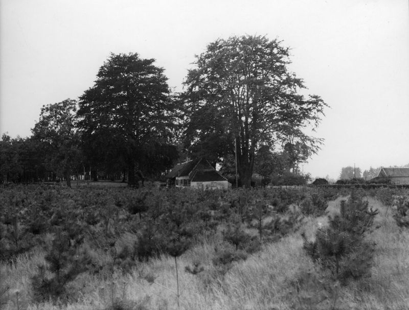 " 't Oud Hoefje"