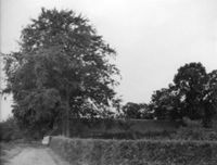 B094002