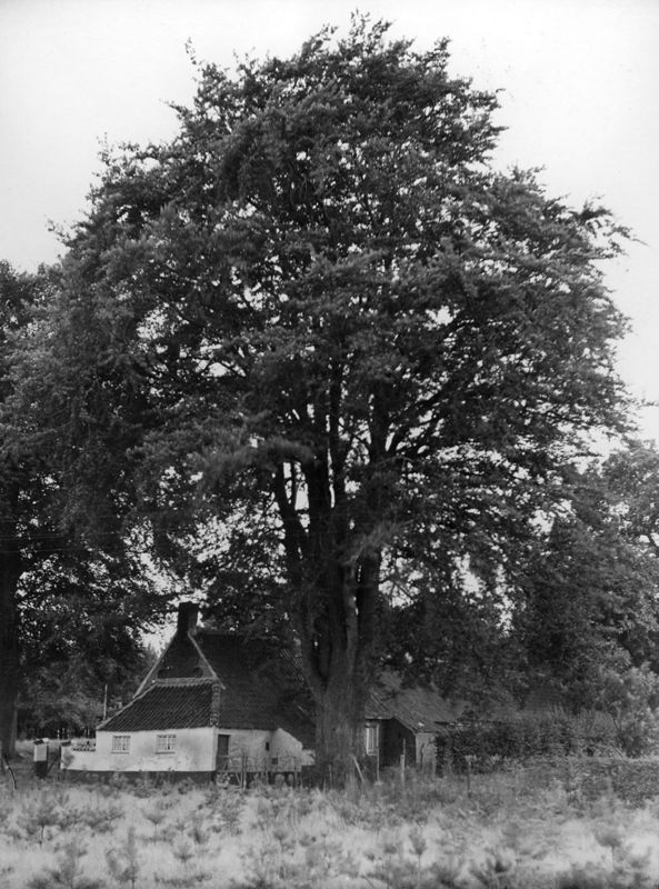 " 't Oud Hoefje"