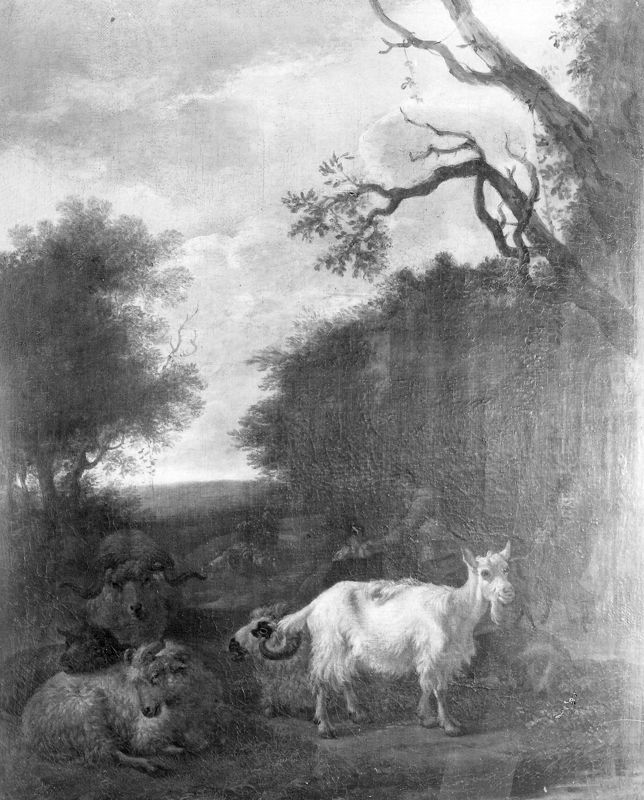 Paysage rocheux avec moutons et chèvres