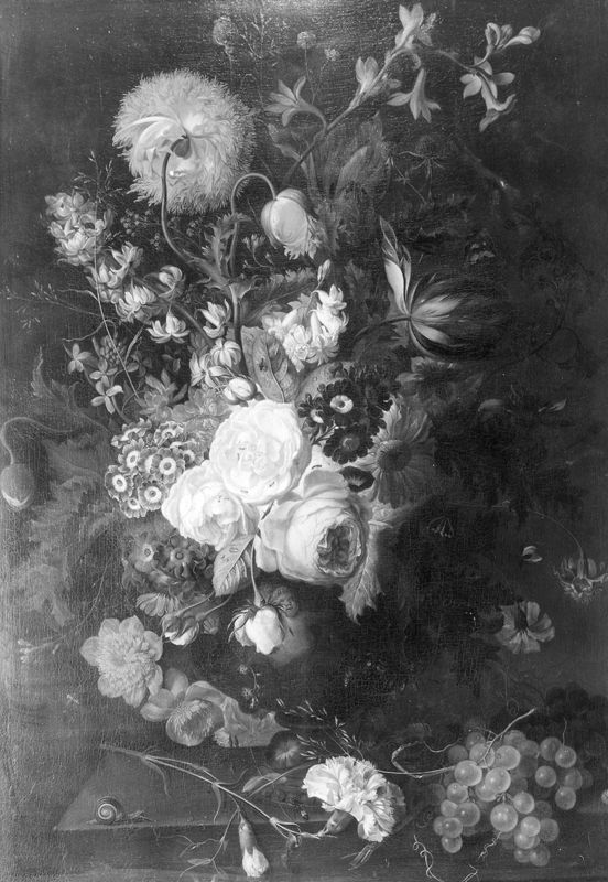 Fleurs et raisins