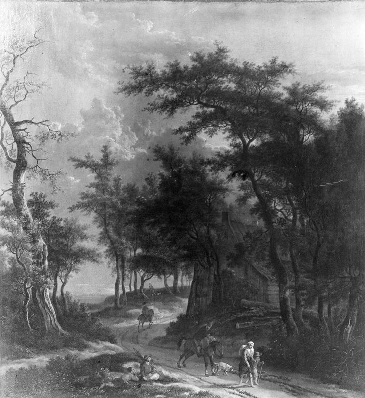 Chemin dans un bois