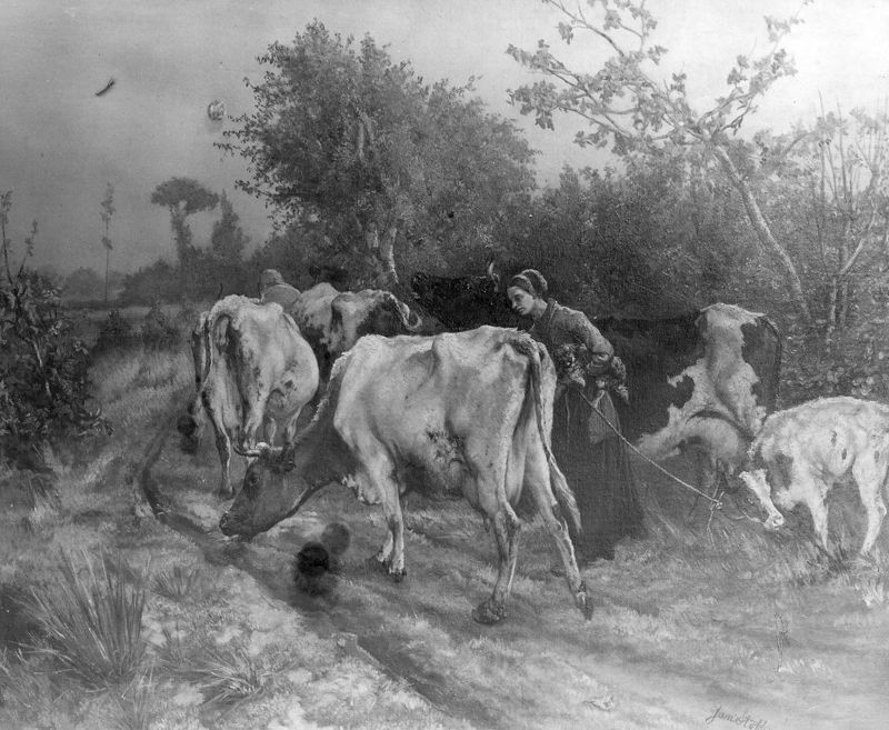 Troupeau de vaches