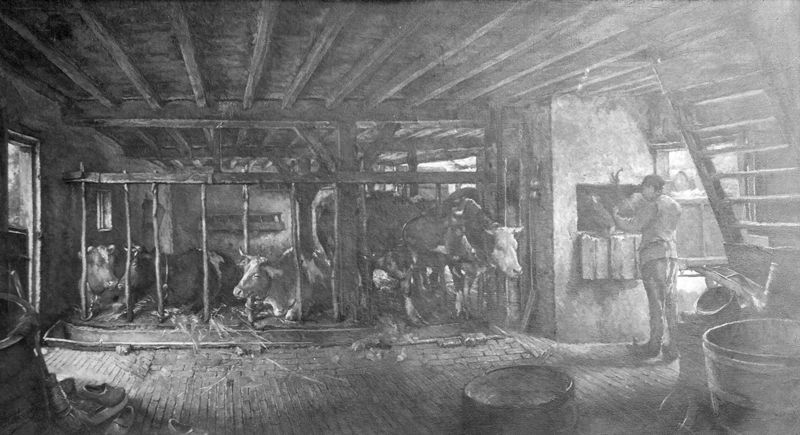 L'heure de la sieste dans l'étable de l'ancienne seigneurie de Zurenborg