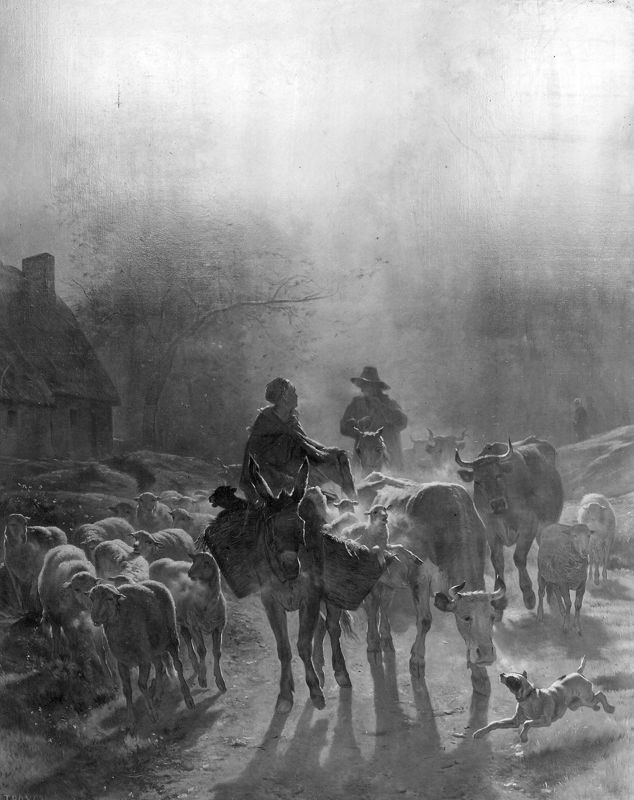 Le départ pour le marché