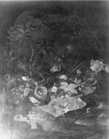 B097620