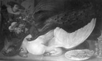 B097623