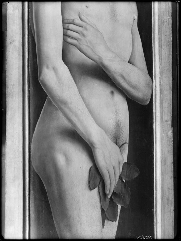 Lam Gods: Adam