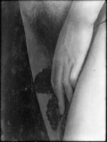 B100333