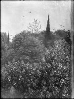 B100509