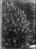 B100531