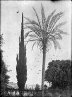 B100533