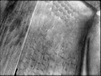 B100547