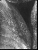 B100949