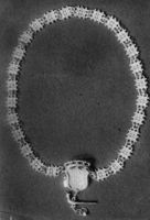 B102025