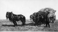B103359
