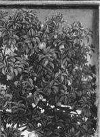B107099