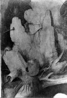 B112486