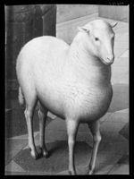 B112756