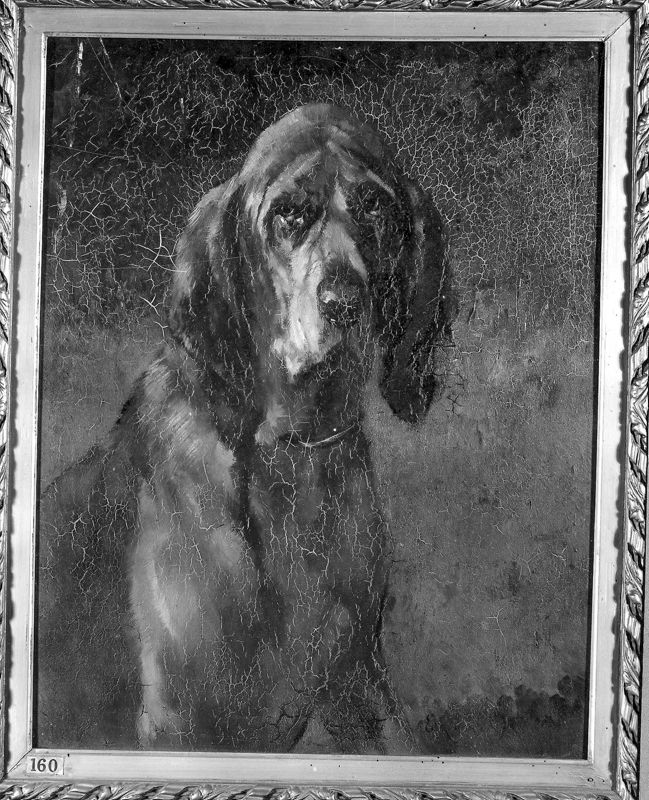 De bloedhond