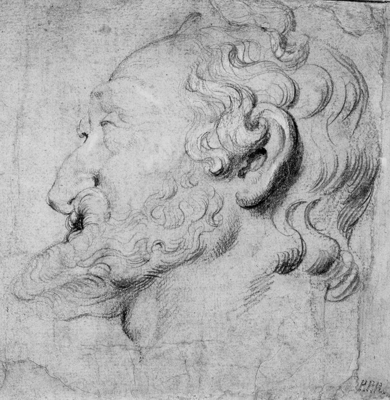 Kop van Hendrik IV, Koning van Frankrijk